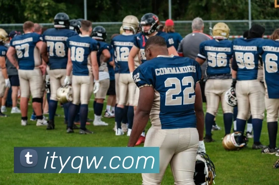 云开体育在线登陆APP 封面图